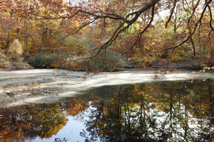 Recherche de Fuite D'eau Rambouillet